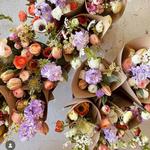 Boulder Farmers Market