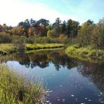 Nara Park/Michigan Tech Trails