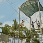 Flying trapeze & circus activities