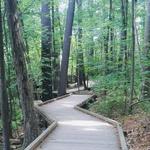 Livingston Park
