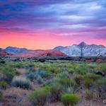 Snow Canyon State Park