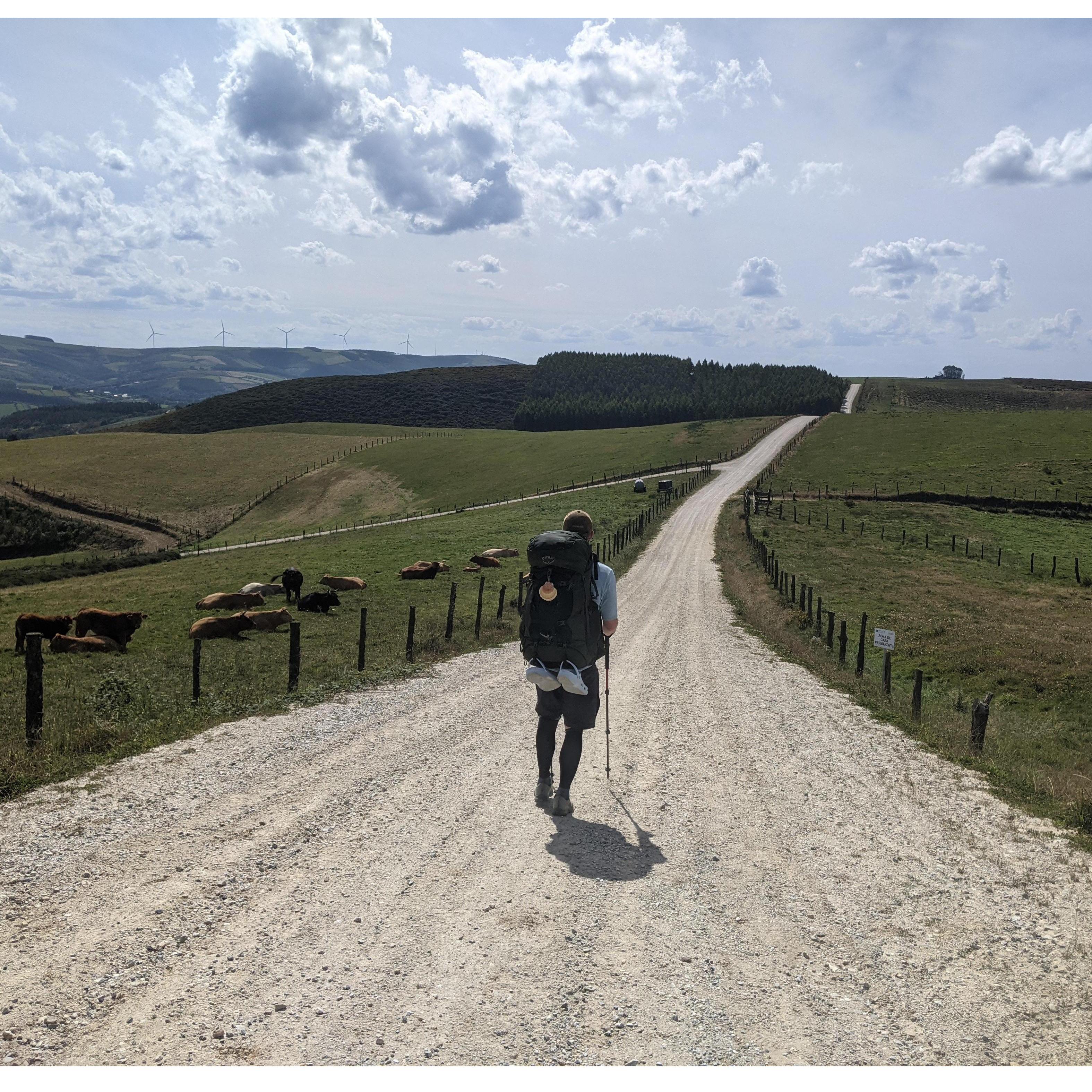 Rolling hills on the Camino de Santiago - September 2021