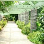 UK Arboretum