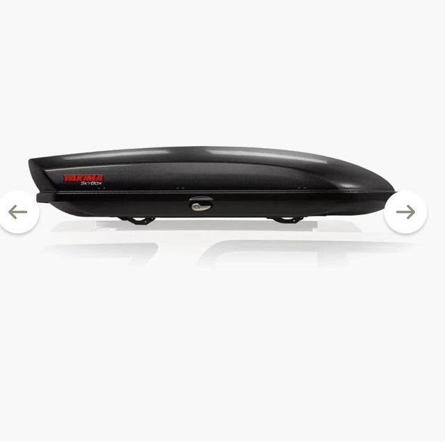 SkyBox 16 Carbonite Cargo Roof Box—Travel