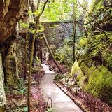 Rock City Gardens