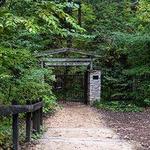 Eloise Butler Wildflower Garden