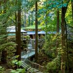 Portland Japanese Garden