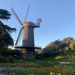 Golden Gate Park