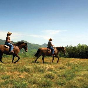 Horseback Riding in Blue Ridge Georgia