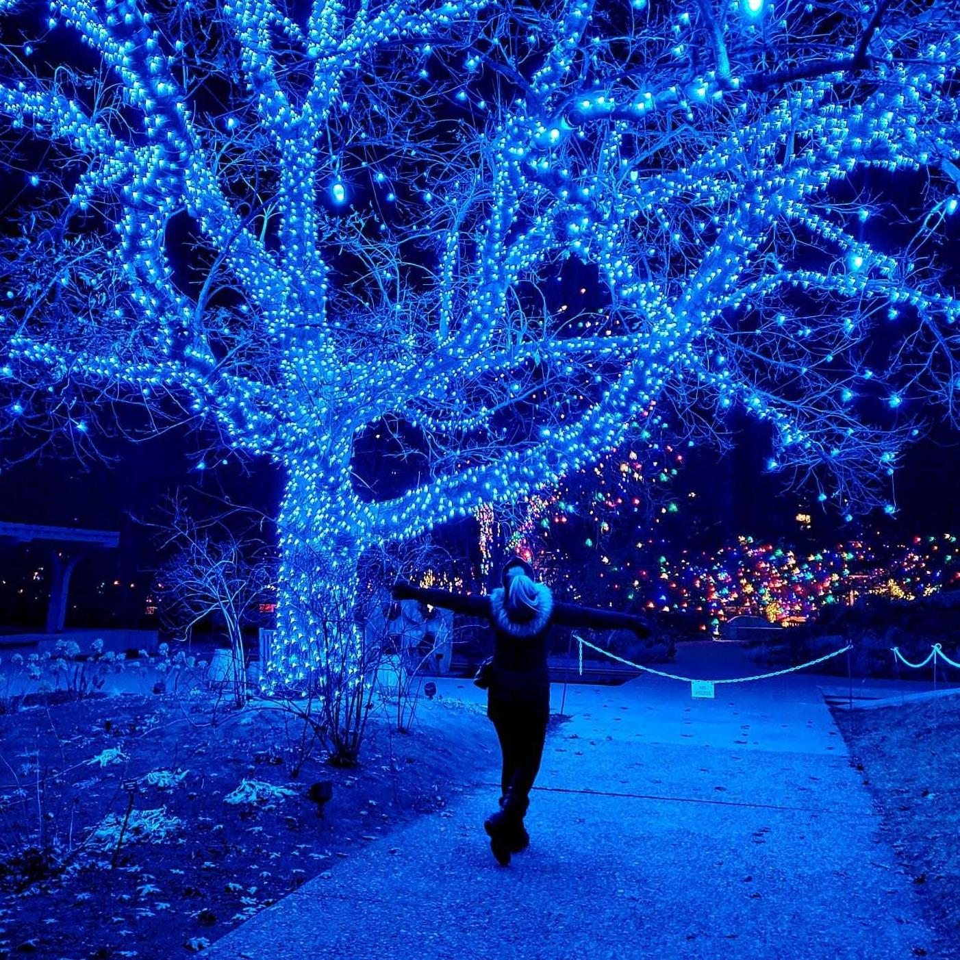 Our date at Blossoms of Light in the Botanical Gardens
