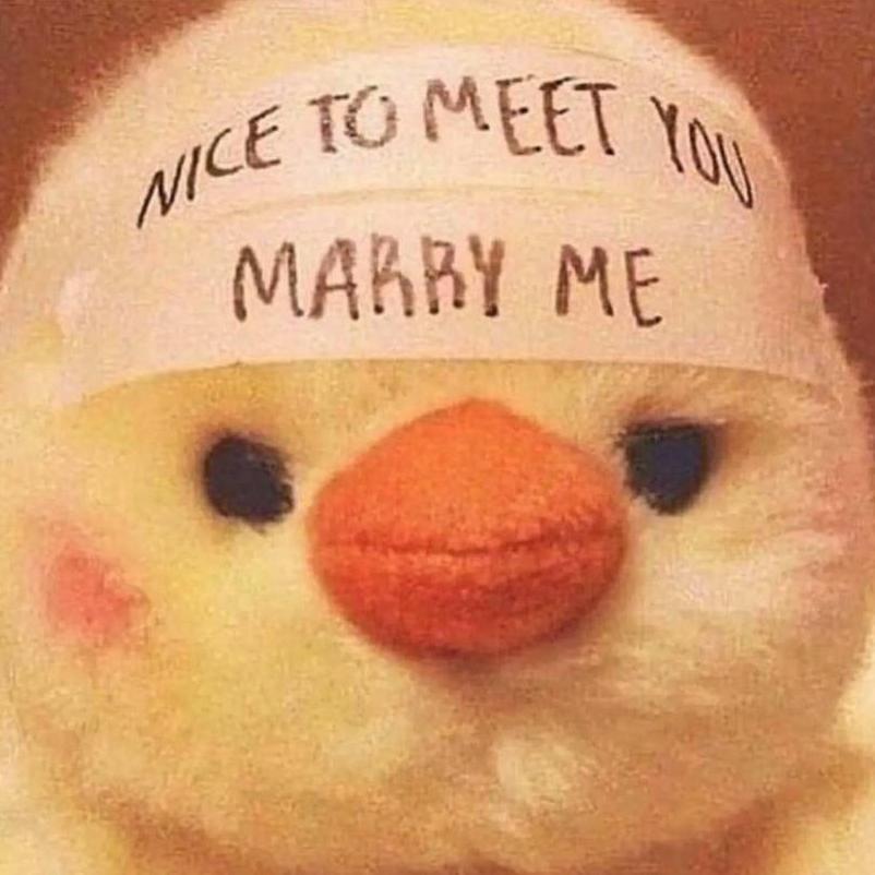Me Convincing Kirk to Marry Me