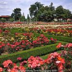 Peninsula Park