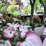 Indian Gardens Cafe & Market