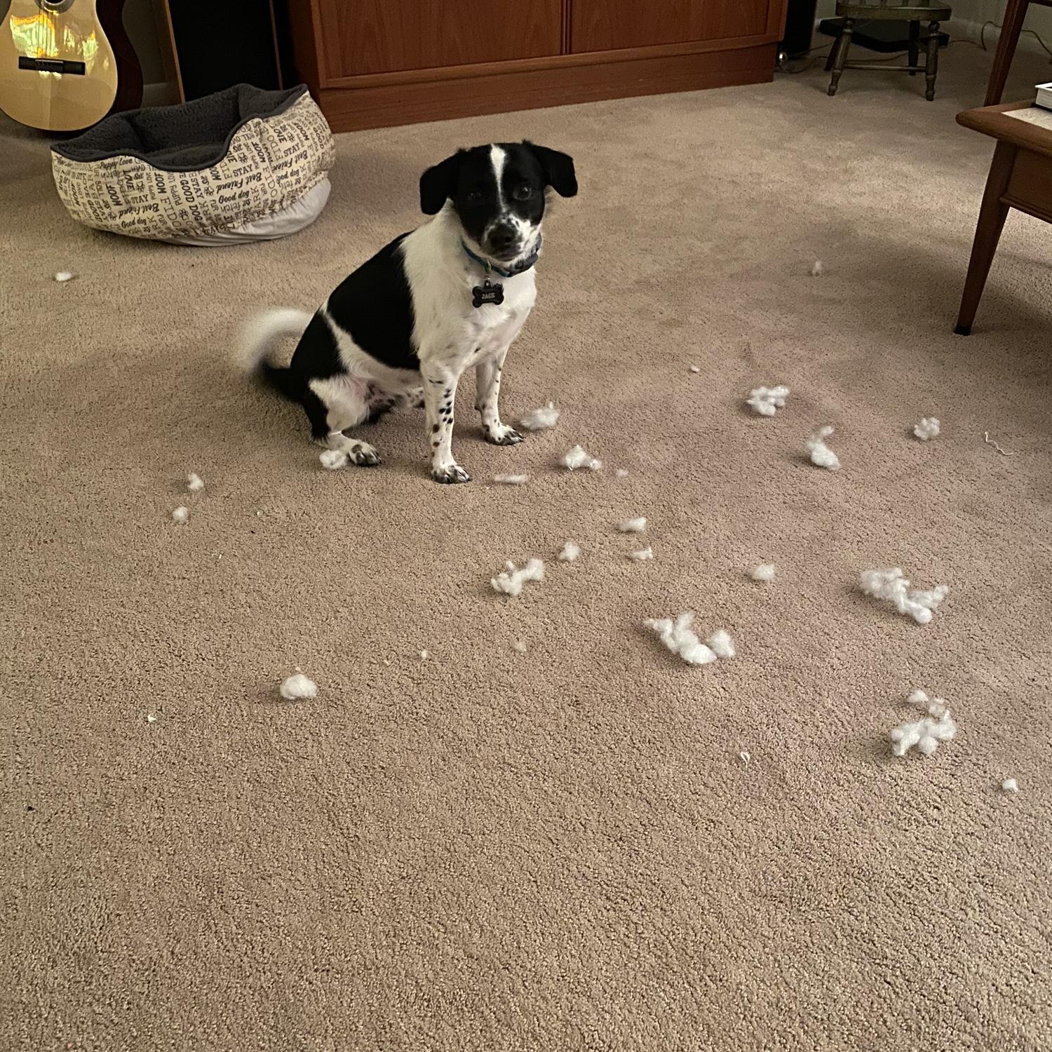 Jack and the evidence...