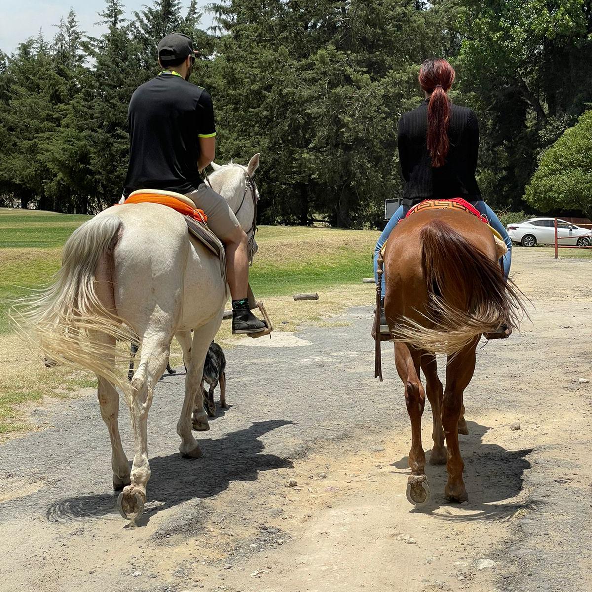 Riding horses in Mexico on Maria's Family Ranch - 2022