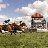 Iroquois Steeplechase