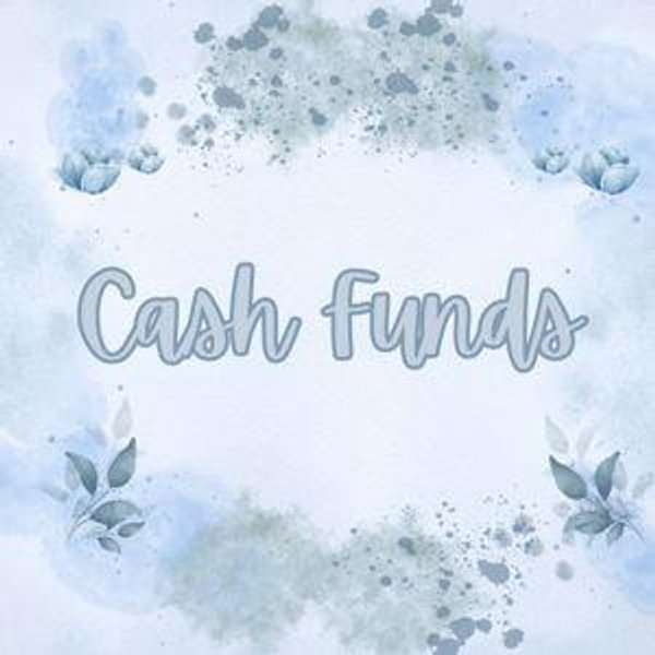 Cash Funds- Category