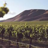 Wine Country Escapes