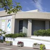 The Dorsky Museum of Art
