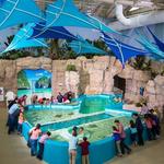 Newport Aquarium