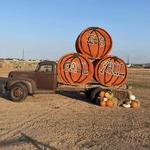 Maxwell's Pumpkin Farm