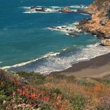 Salt Point State Park