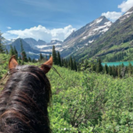 Horseback Riding through Glacier