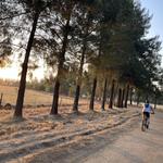 MTB Trails