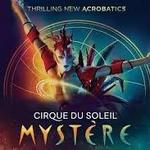 Mystère by Cirque du Soleil