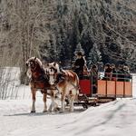 Sleigh Rides at Mountain Springs Lodge