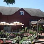 Chaddsford Winery
