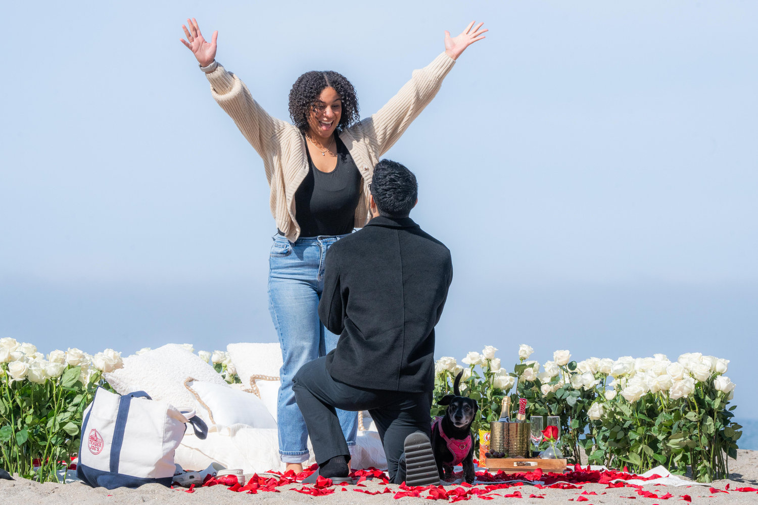 The Wedding Website of David Ventura and Sonja Parker