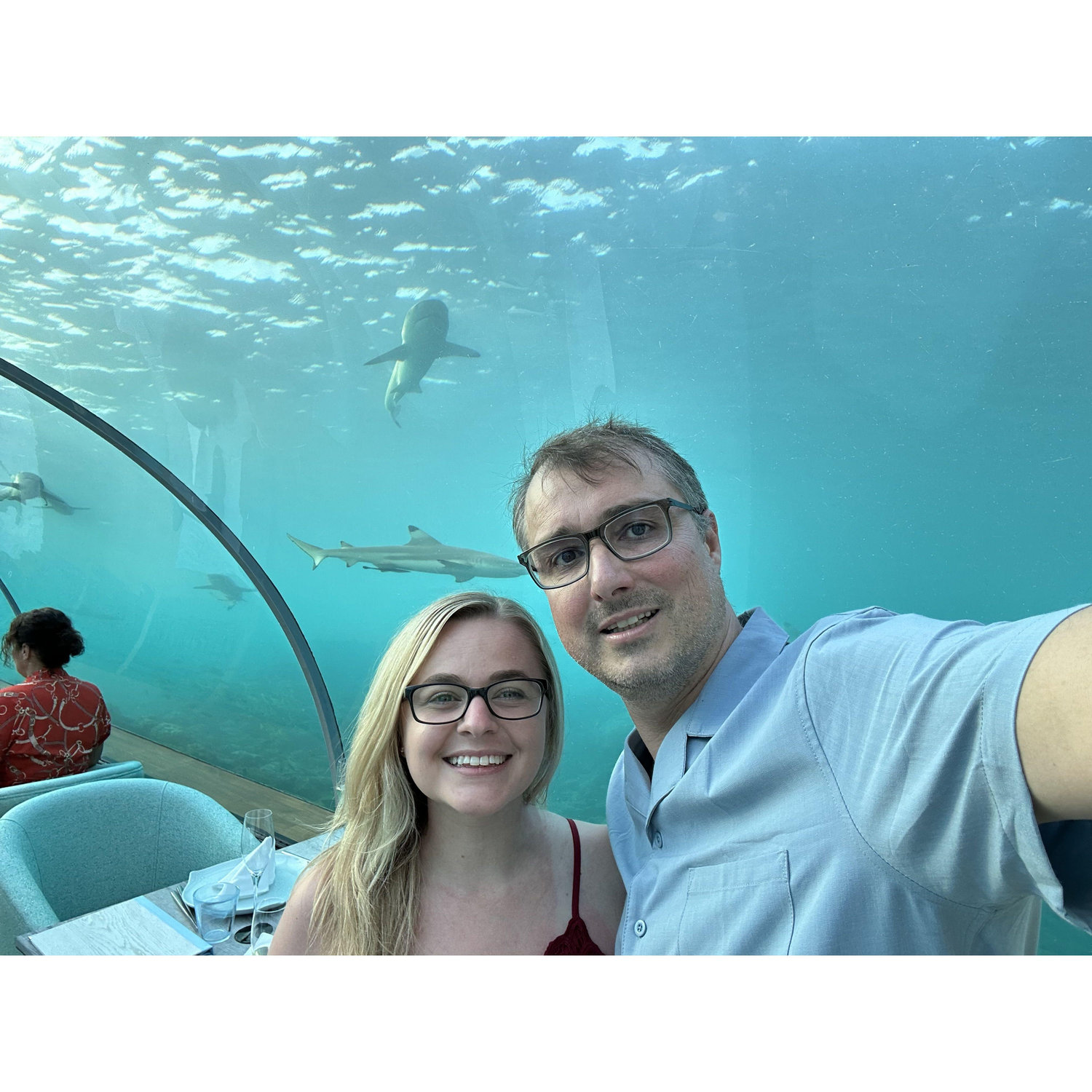 Maldives under the sea