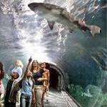 Adventure Aquarium