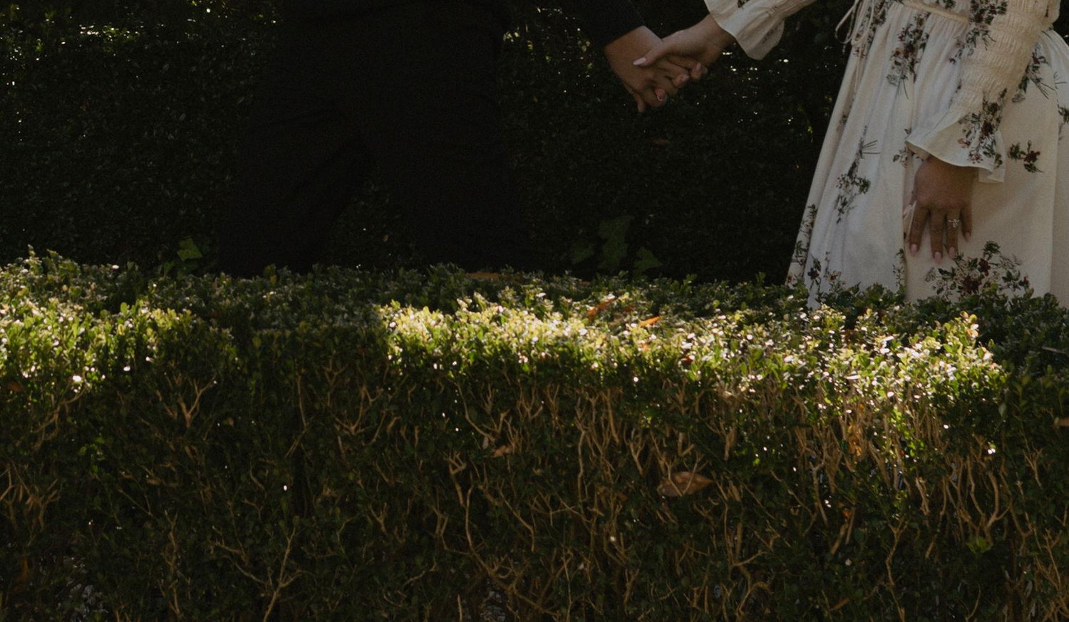 Footer image