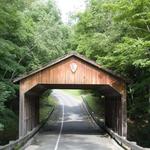 Pierce Stocking Scenic Drive