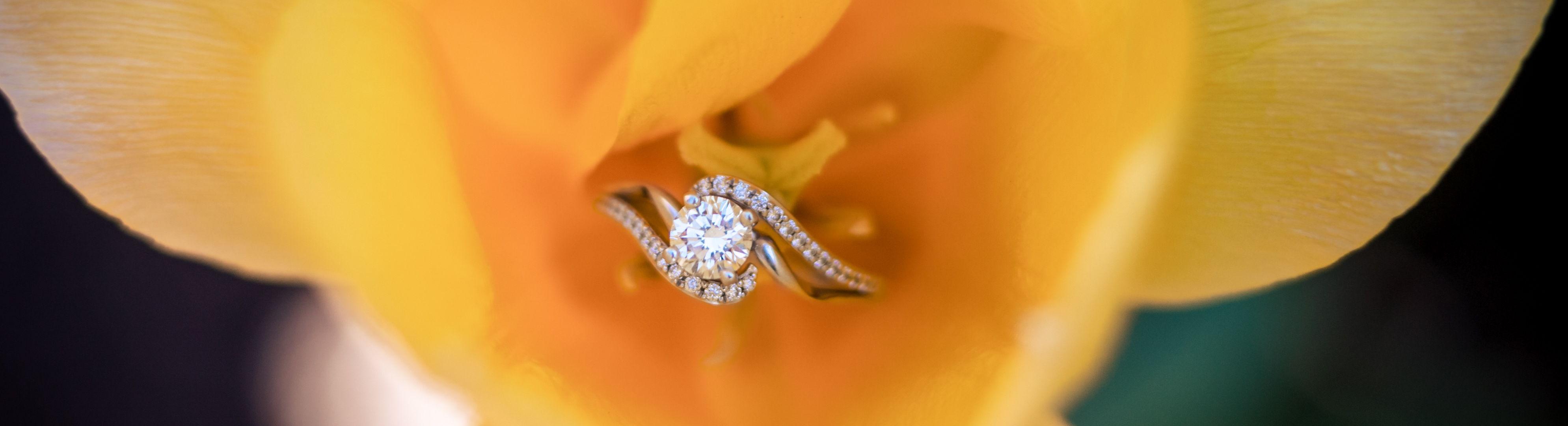 The Wedding Website of Kelli Hobbs and Stephen Klamet