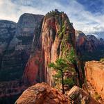 Angels Landing Trail
