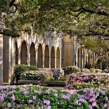 Louisiana State University
