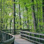 Saunders-Monticello Trail