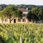 Rustic Vines Vineyard Tours