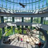 North Carolina Museum of Natural Sciences