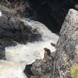 Adams Falls