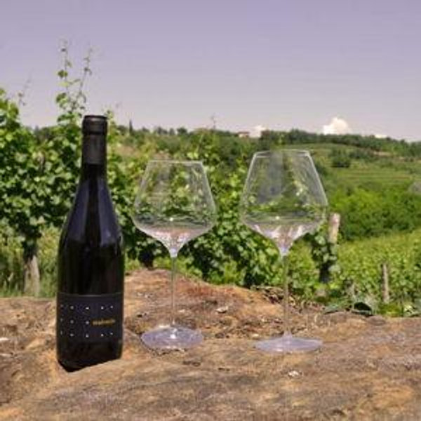 Wine tour on our honeymoon
