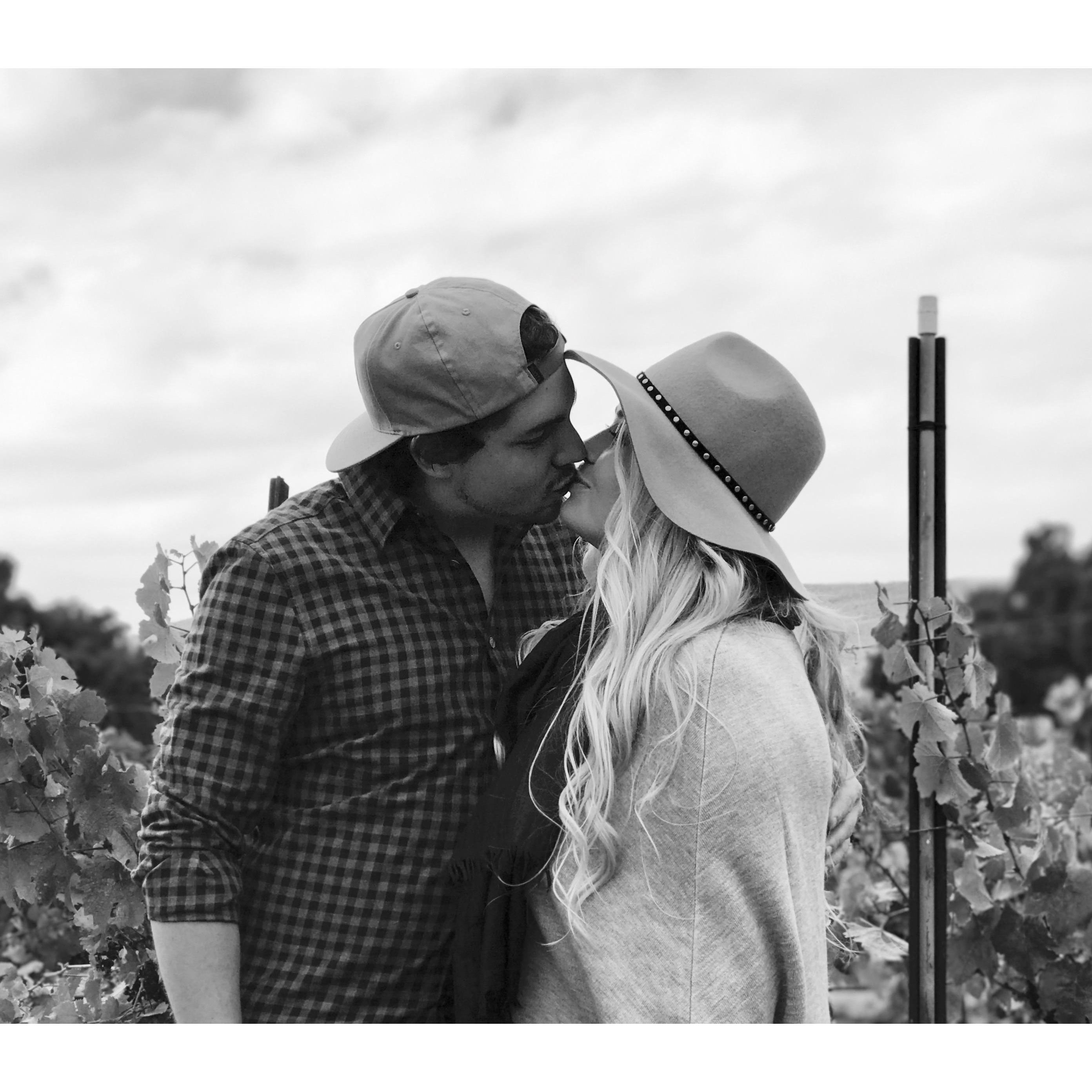 Firestone Vineyards - Santa Barbara, CA