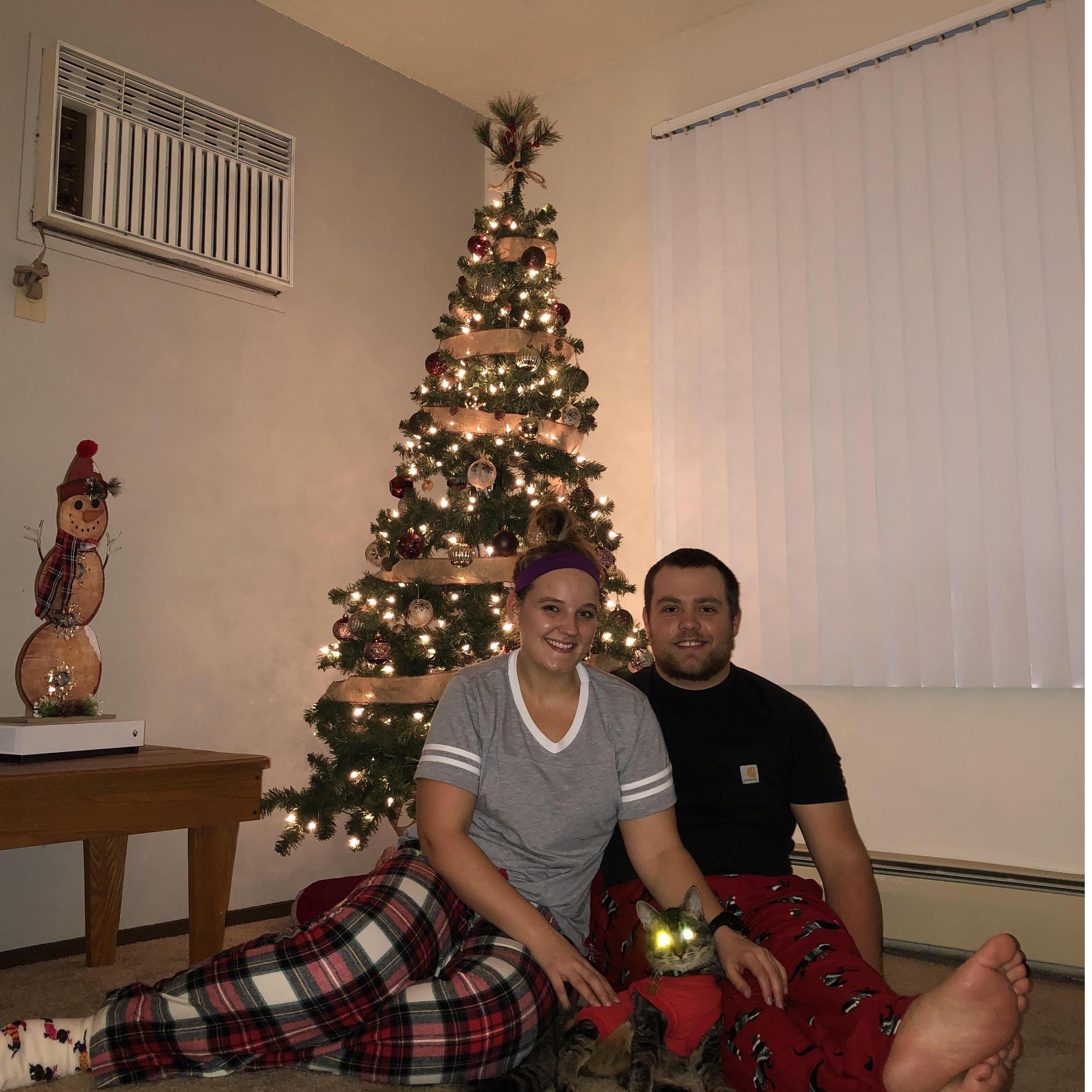 First Christmas with our cat Mason (December, 2019)