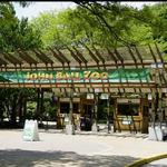 John Ball Zoo