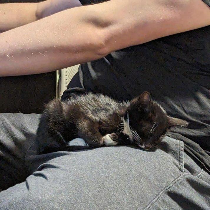The day we brought Marble home. (June 7th, 2024)