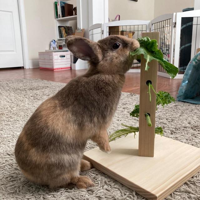 Bunny Wood Lettuce Tree, Foraging Toy, Small Pet Chew Toy, Rabbit Enrichment, Mental Stimulation for Pets