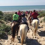 Horseback Riding on the Beach